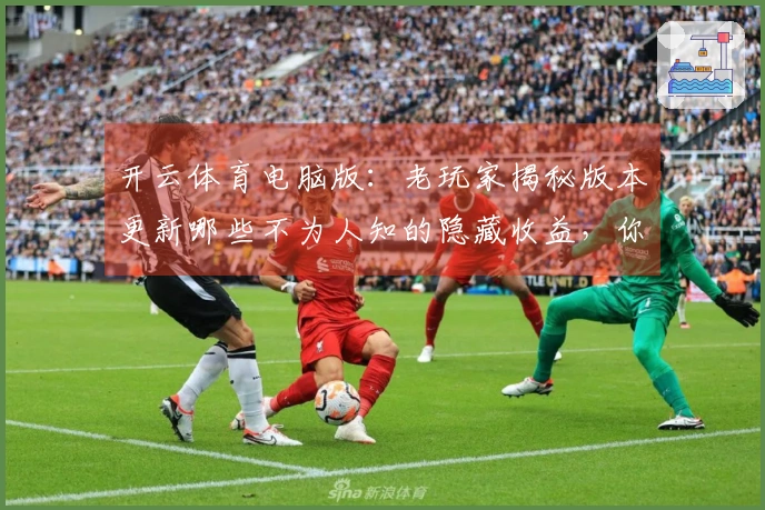 开云体育电脑版：老玩家揭秘版本更新哪些不为人知的隐藏收益，你肯定不知道！